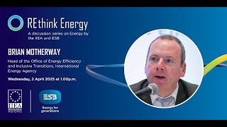 A Decade After the Paris Agreement: Global Progress and Challenges in Clean Energy Transitions