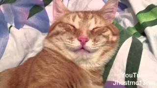 Sorria porque hoje é SÁBADO =^.^=