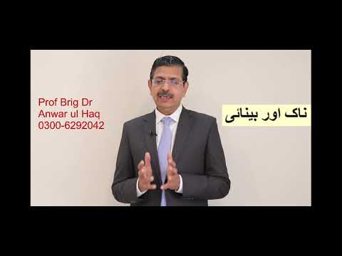 Vision & Nose — Dr. Anwar