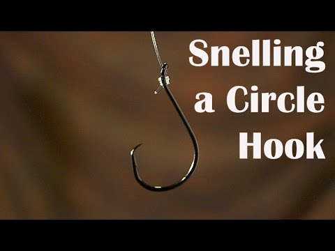 How to Tie a Snell Knot on a Circle Hook