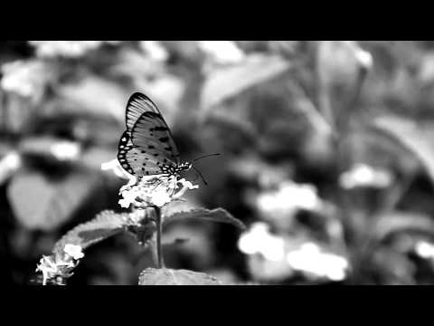 chandradwip debnath Video Editing (Mumbai- The spirited city)