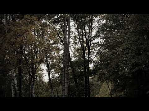 Splet narodnih vranjanskih melodija