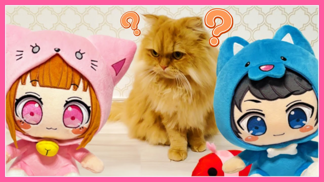 ちろぴののネコちゃんを紹介します！にゃ～！🐈🐈💛