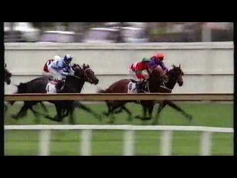 1991 Canterbury Guineas - St Jude