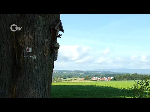 Urlaub Dahoam in Störnstein: Wandern, Radeln und vieles mehr