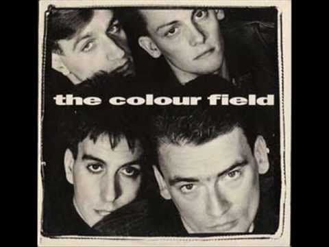THE COLOUR FIELD - TAKE - PUSHING UP THE DAISIES