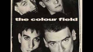 THE COLOUR FIELD - TAKE - PUSHING UP THE DAISIES