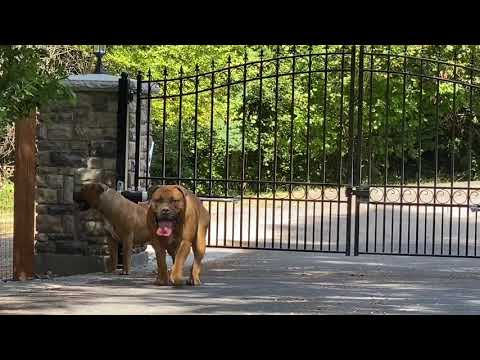 Barbarian Fury and Sparta on Patrol.