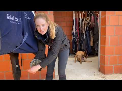 Recognizing and treatment for thrush in horses