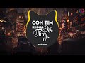 Con Tim Không Đổi Thay Remix Dee Trần X Đại Mèo Remix I Nhạc Hay Thế Kình Kịch Kìn