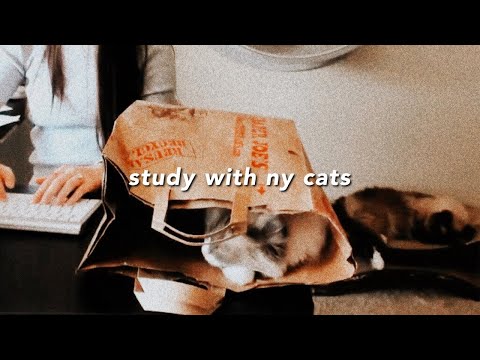 LIVE STUDY WITH ME & my cats | Fireplace Sounds #StayHome