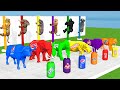 Select The Right Color Boat to Escape Game with Elephant,Buffalo,Tiger, Lion,Pepsi,CocaCola, Sprite