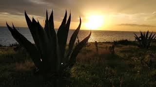 Appartamenti Silvia - Porto Cesareo - Italy