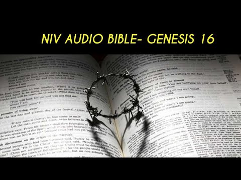 GENESIS 16 NIV AUDIO BIBLE (with text)