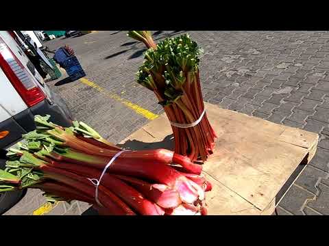 Bronisze 11.05.2021 - ceny nowalijek