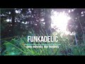 Funkadelic - Good Thoughts, Bad Thoughts (letra traducida)