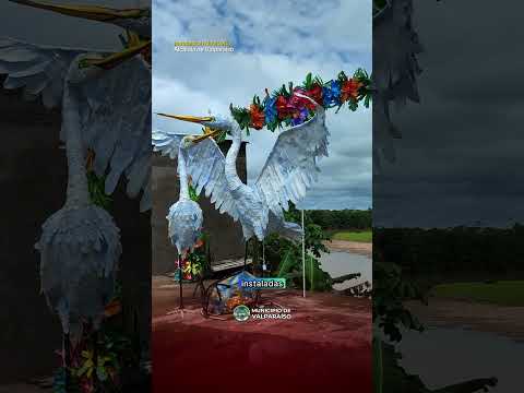 Instalación navidad