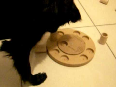 Maya e i giochi d'intelligenza (2)