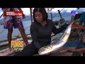Kara David Nanguha Ng Higanteng Isda Na Dorado Pinas Sarap
