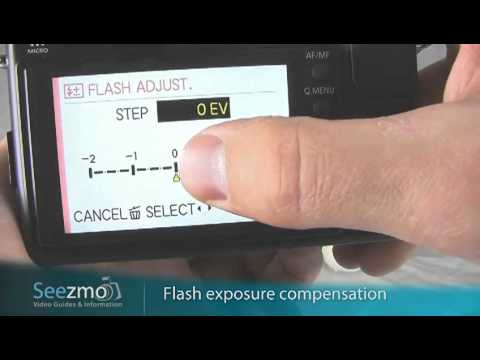 Panasonic GF1: People in Landscapes Guide