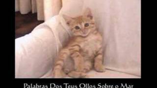 Memoria Da Noite (Subtitulado) Mago de Oz