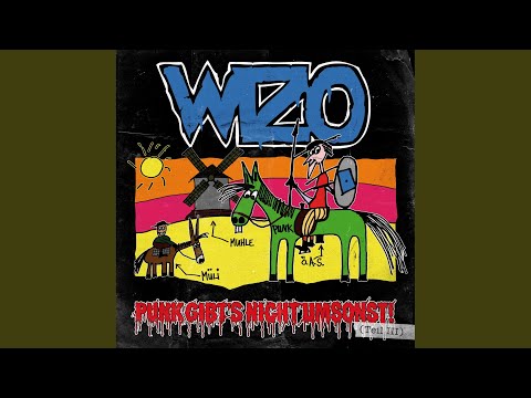 Videoclip de Wie soll's gehen — WIZO