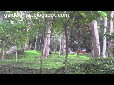 อุทยานแห่งชาติแม่ตะไคร้