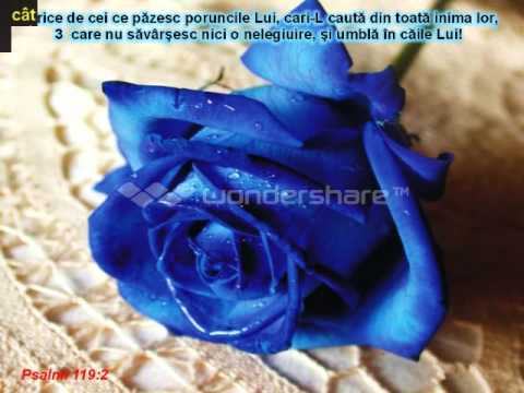 Chemati prin cantari bucuria