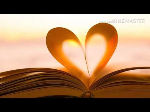 Sean Bridon feat Darsy- number one✨