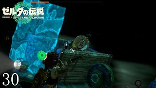 【ゼルダの伝説totkその30】ゲルド地方探索。コーガ様と２度目のご対面！何供えても不動のイヤなカエル様