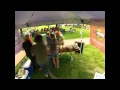Vintage Indiana Wine & Food Festival