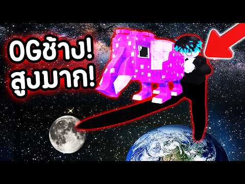 ขอบคุณ ADMIN มาก!❤️ เสก OG ให้ผมที่สูง 1,000,000 ล้านเมตร! 🚀😱 | Roblox