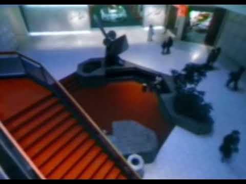 猫 シ Corp. x CVLTVRΣ - Endless 通路