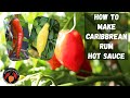 How To Make Caribbean Rum Hot Sauce