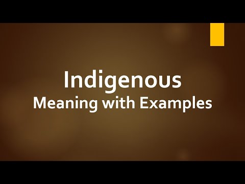 Indigenous Meaning with Examples