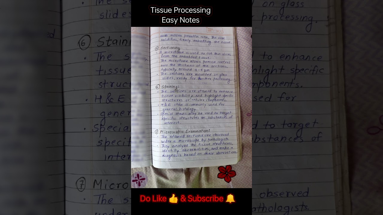 Tissue Processing (Steps & Methods) for Histological Examination | Applied Histopathology