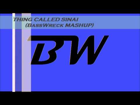 THING CALLED LOVE vs. SINAI (BassWreck Mashup)