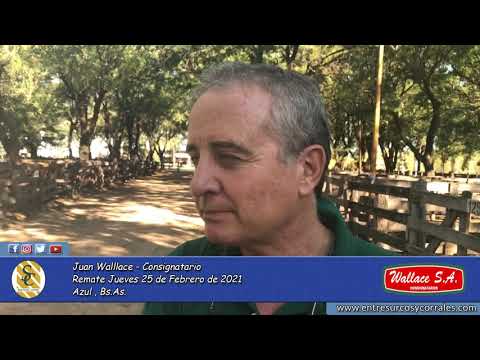 25-02-21 - Juan Wallace - Consignatario - Wallace Hnos. S.A. - Azul, Bs.As.