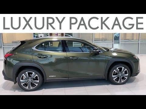 2020 Lexus UX 250h Luxury Package - Full Review and Walk Around