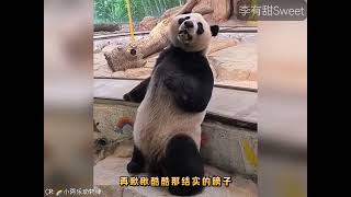 kid fuuny,songs for kids,for kids,baby songsOkolele,oko lele,Oko and Lele,oko lele officail,Oko 1