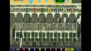 HnR 's Living the Life wins 1st U.S. Start @Del Mar