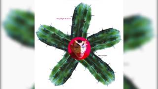 Backwards Music - 19 Token Back To Brooklyn - They Got Lost - They Might Be Giants