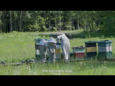 Familjen i bigården – Nektargårdens svenska honung från start till burk