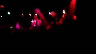 my beautiful rescue- this providence