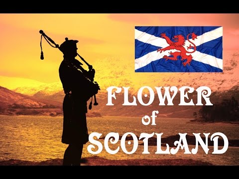 💥Flower of Scotland 💥Lone Piper Album💥
