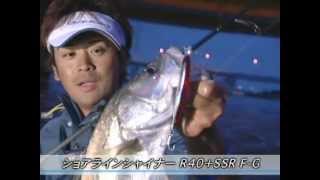 DAIWA SHORE LINE SHINER R40+ SSR FG