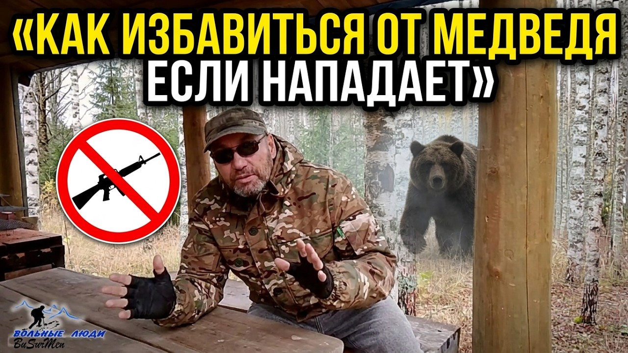НАПАДЕНИЕ МЕДВЕДЯ. Как избавиться от хищника без оружия и не нарушить закон