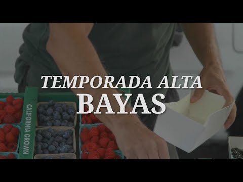 Temporada Alta- Bayas