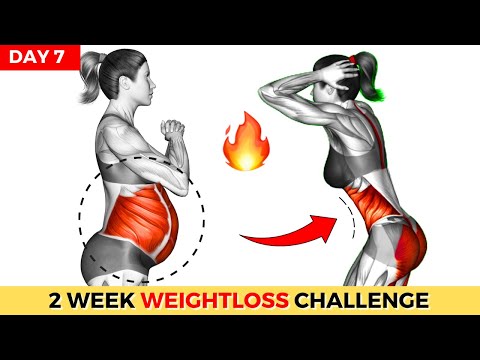 Do This 30 Min Everyday To Lose Weight Belly Fat 2 Weeks Shred Challenge DAY 1