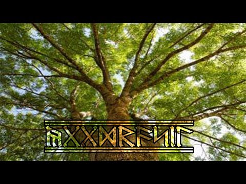 Yggdrasil the Axis Mundi